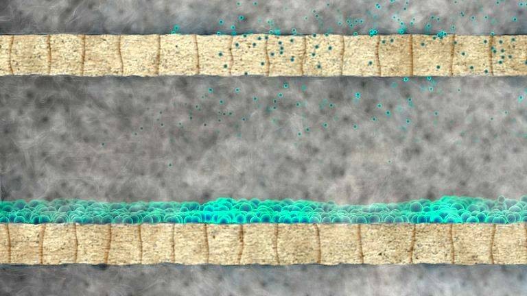 DPF Russablagerungen